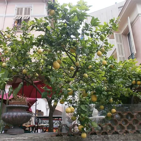 Bed & Breakfast Saphir Nice